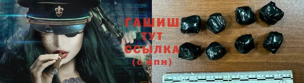 гидра Бородино