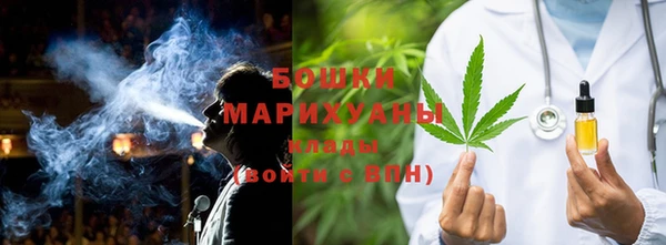 гидра Бородино