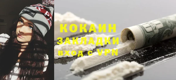 гидра Бородино