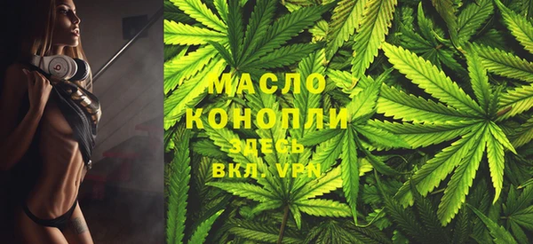 гидра Бородино