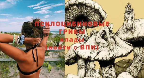альфа пвп Бугульма
